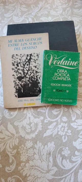 Lote de libros de poesía
