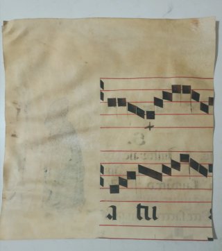 Manuscrito antiguo en piel de pergamino