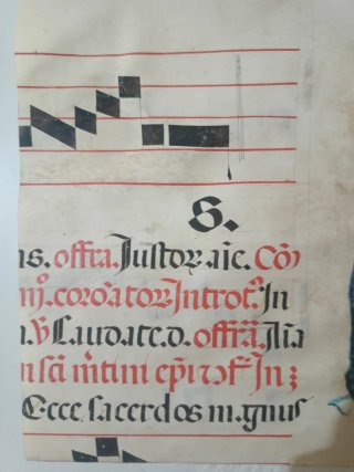 Manuscrito antiguo en piel de pergamino