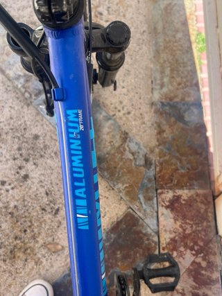 Bicicleta Infantil 20 Azul