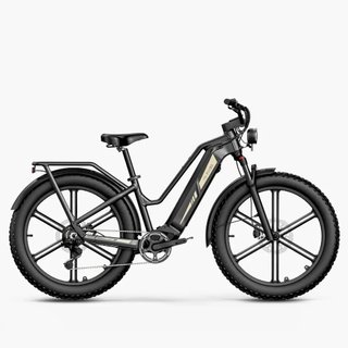 Bicicleta Eléctrica Fiido Titan Negra
