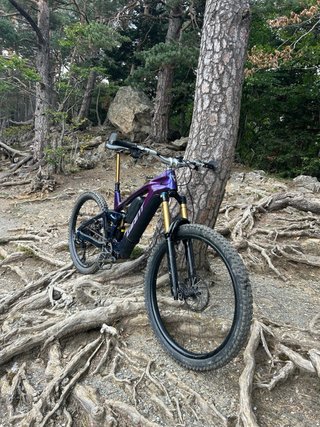 Giant e-Reign advanced e0 2026