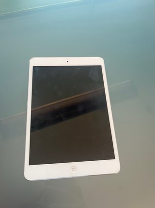 iPad mini 1ª gen 16GB WiFi Gris Espacial