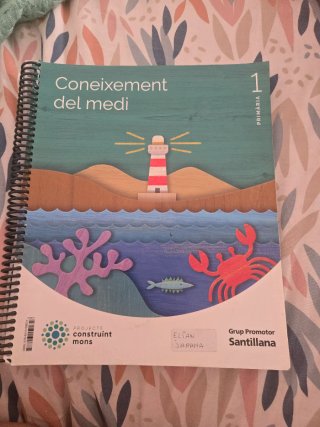 CONEIXEMENT DEL MEDI 1 er PRIMARIA CONSTRUINT MONS