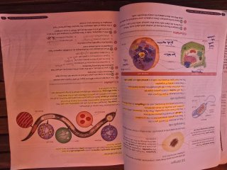 Biology & Geology 1º ESO. Student's book. GENiOX
