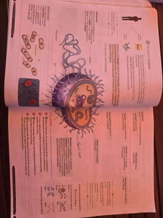 Biology & Geology 1º ESO. Student's book. GENiOX