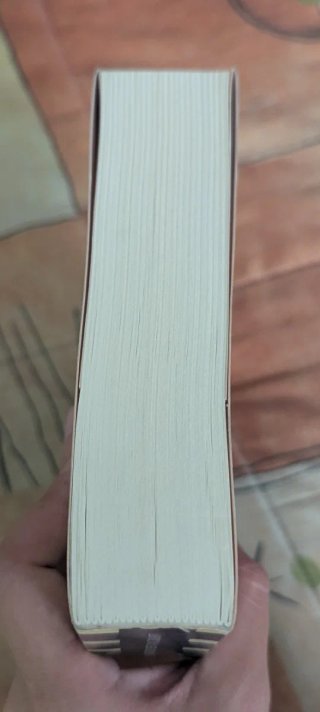 Libro No hay silencio que no termine