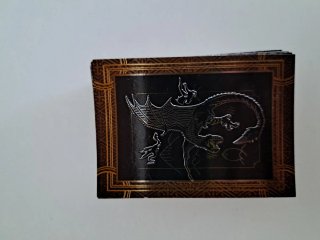 80 Cartas Harry Potter Panini