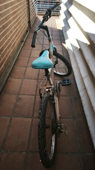 Bicicleta infantil 20 pulgadas