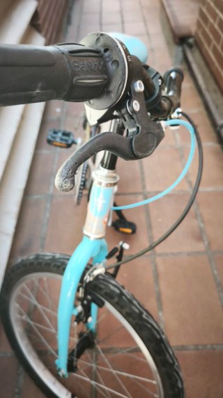 Bicicleta infantil 20 pulgadas