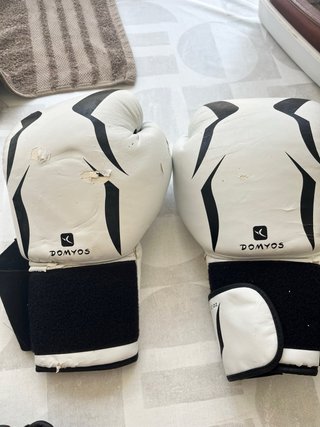 Espinilleras Buddha y Guantes Everlast