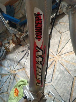 Bicicleta plegable