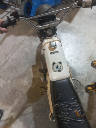 Puch Magnum X 50cc Motocross