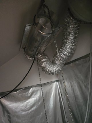 Sistema Cultivo Hidropónico Indoor