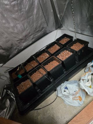 Sistema Cultivo Hidropónico Indoor