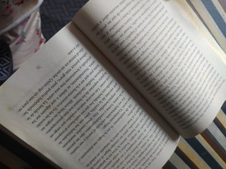 Libro Novela "La chica del Tren"