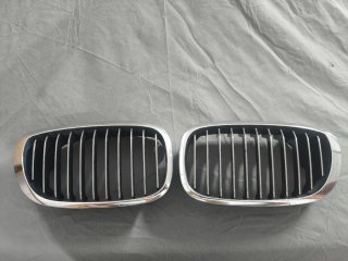 Riñones/Parrilla BMW E46 Coupé