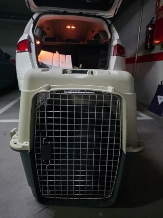 Transportín perro grande avión