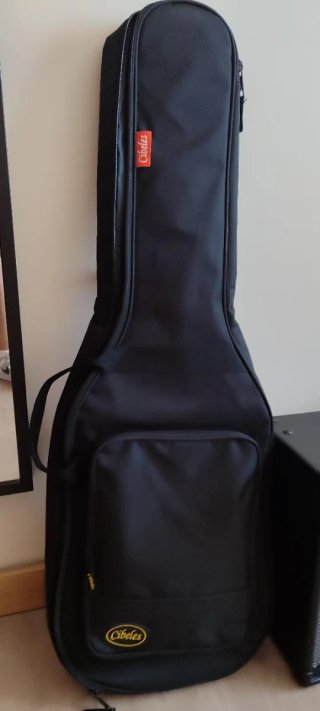 Pack Guitarra Eléctrica Daytona + Funda + Ampli