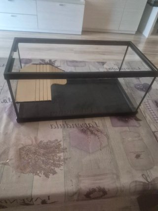 Acuario para tortugas de iniciacion