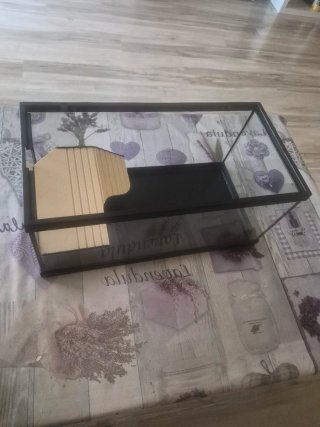 Acuario para tortugas de iniciacion