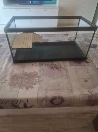 Acuario para tortugas de iniciacion