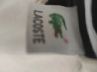 Sudadera Lacoste Beige  y pantalón Lacoste Beige