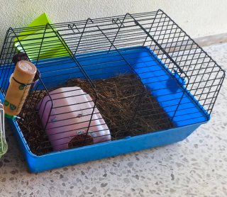 Jaula para animales pequeños