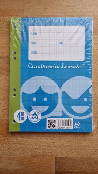 Recambio Cuadrovia Lamela 4mm