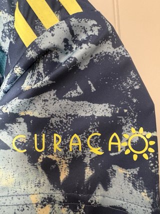 Camiseta Ajax 24/25.
