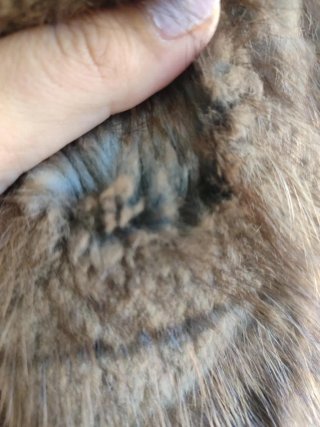 Abrigo de pelo marrón