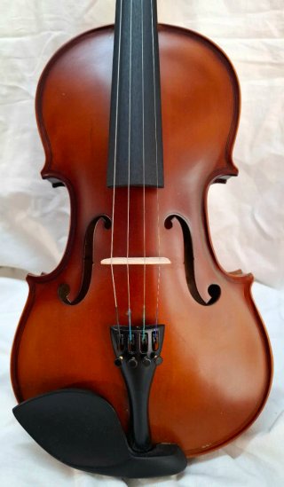Violín violí 4/4 con funda y arco