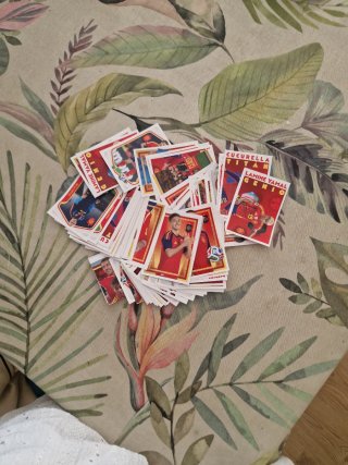Cromos Panini Fútbol