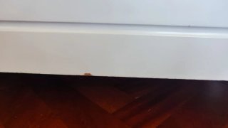 Banco de madera blanco con almacenaje