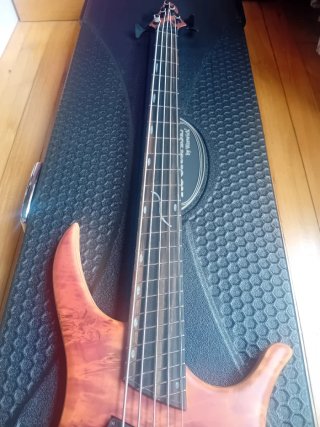 Bajo Eléctrico 5 Cuerdas