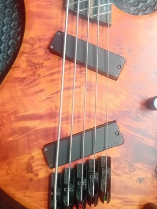 Bajo Eléctrico 5 Cuerdas