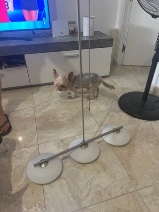 Lámpara de techo moderna Se regala