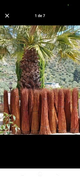 Sombrillas y pérgolas de madera a medida
