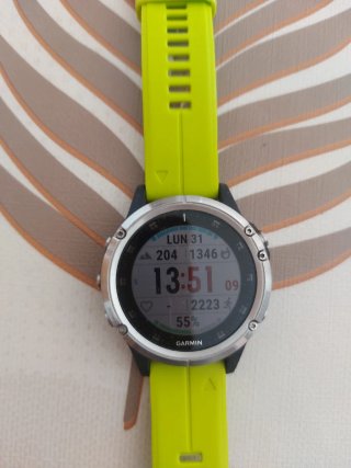 Garmin Fenix 5 Plus Plata/Amarillo