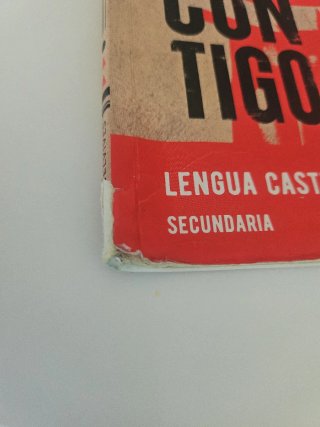 Lengua castellana y literatura 2 Secundaria