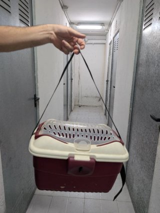 Transportín para animales pequeños