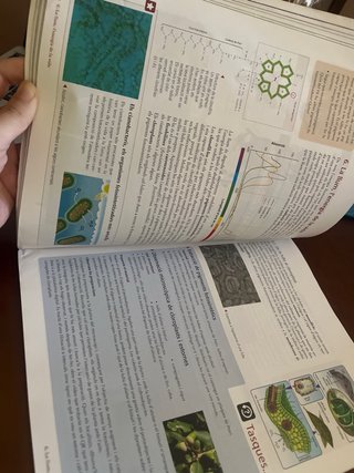 Biologia en context 1 Batxillerat