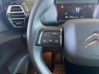 Citroen C4 130cv s&s feel pack
