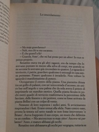 La paranza dei bambini romanzo