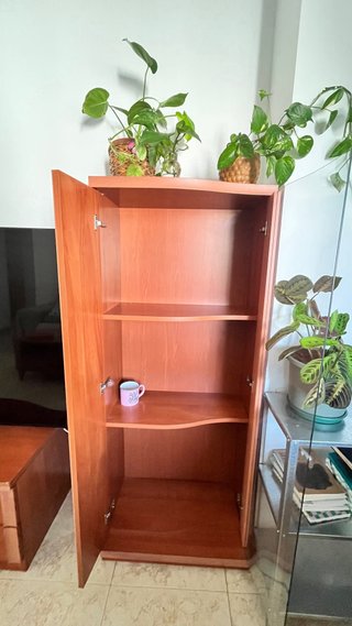 Vitrina curva de madera y cristal