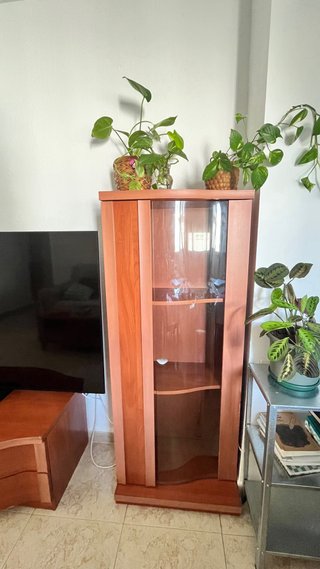 Vitrina curva de madera y cristal