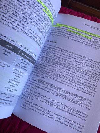 Aprendizaje Y Desarrollo en la Infancia I y II