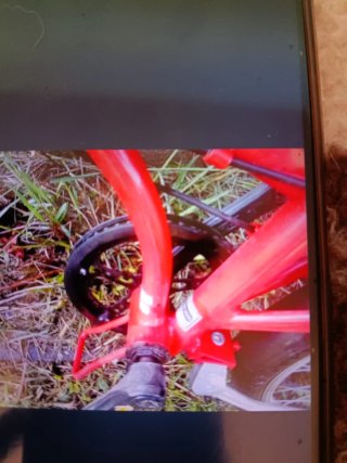 Bicicleta plegable roja