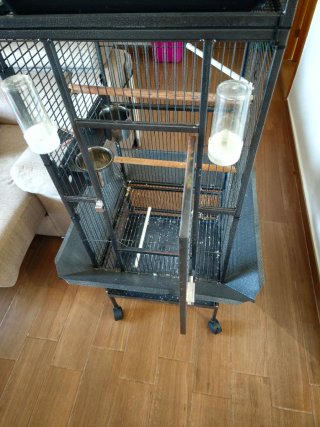 Jaula para loro