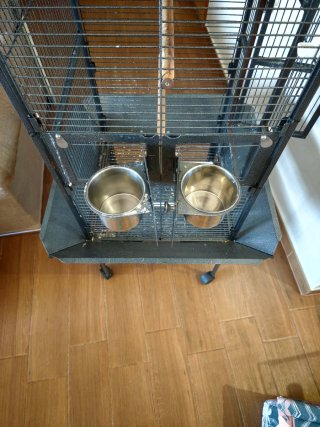 Jaula para loro
